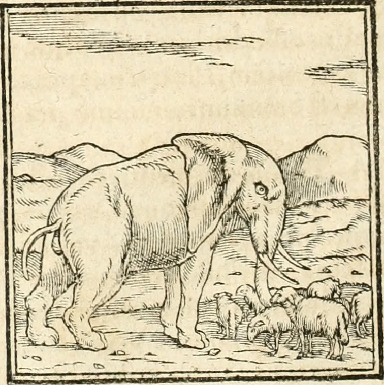 An illustration from Hieroglyphica, sive, De sacris Aegyptiorvm aliarvmqve gentivm literis commentarij, 1567, leaf 49