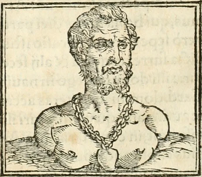 An illustration from Hieroglyphica, sive, De sacris Aegyptiorvm aliarvmqve gentivm literis commentarij, 1567, leaf 493