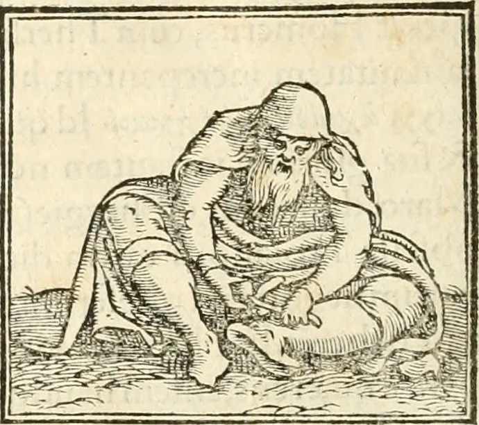 An illustration from Hieroglyphica, sive, De sacris Aegyptiorvm aliarvmqve gentivm literis commentarij, 1567, leaf 503