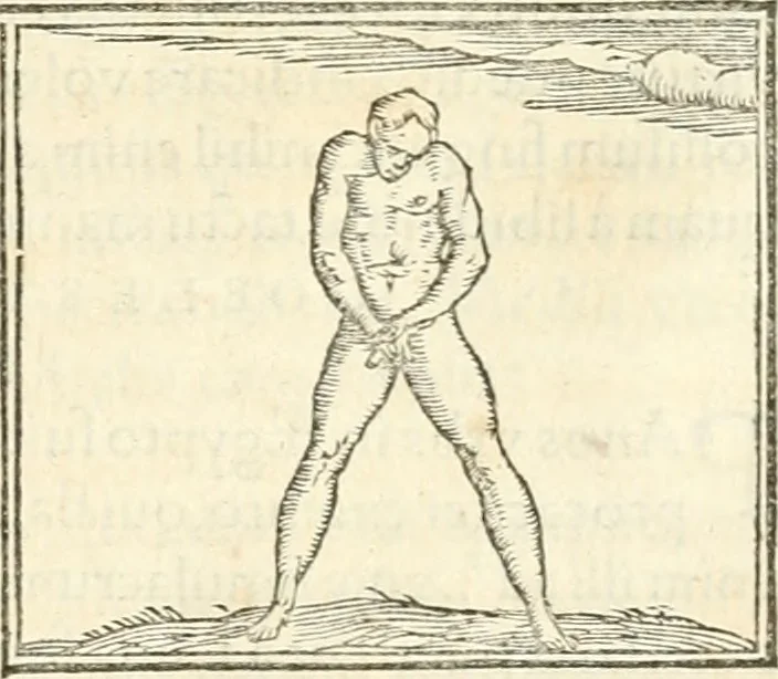 An illustration from Hieroglyphica, sive, De sacris Aegyptiorvm aliarvmqve gentivm literis commentarij, 1567, leaf 504