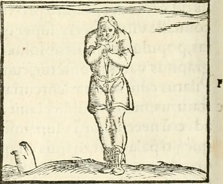An illustration from Hieroglyphica, sive, De sacris Aegyptiorvm aliarvmqve gentivm literis commentarij, 1567, leaf 513