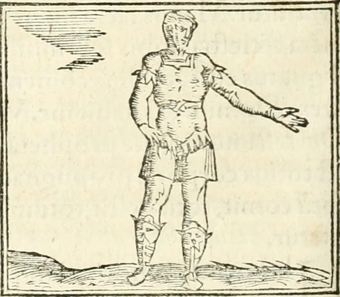 An illustration from Hieroglyphica, sive, De sacris Aegyptiorvm aliarvmqve gentivm literis commentarij, 1567, leaf 513