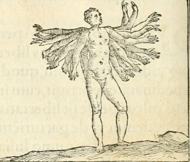 An illustration from Hieroglyphica, sive, De sacris Aegyptiorvm aliarvmqve gentivm literis commentarij, 1567, leaf 515