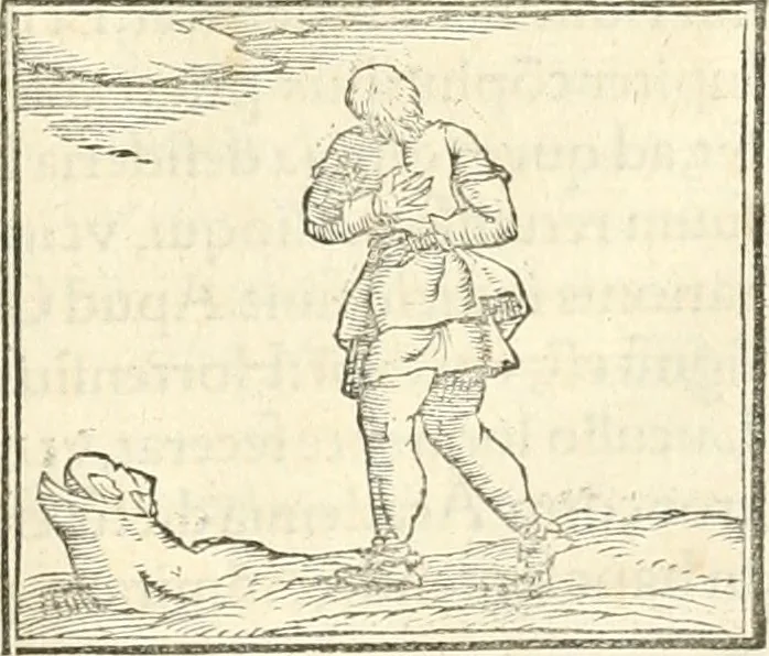 An illustration from Hieroglyphica, sive, De sacris Aegyptiorvm aliarvmqve gentivm literis commentarij, 1567, leaf 516