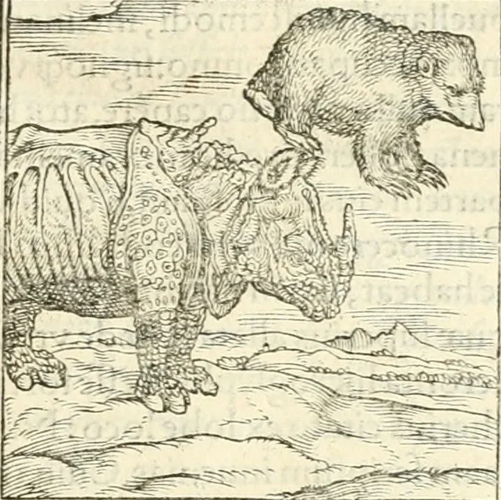 An illustration from Hieroglyphica, sive, De sacris Aegyptiorvm aliarvmqve gentivm literis commentarij, 1567, leaf 52