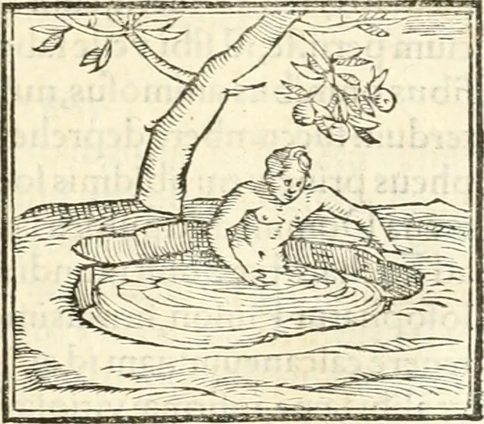 An illustration from Hieroglyphica, sive, De sacris Aegyptiorvm aliarvmqve gentivm literis commentarij, 1567, leaf 524