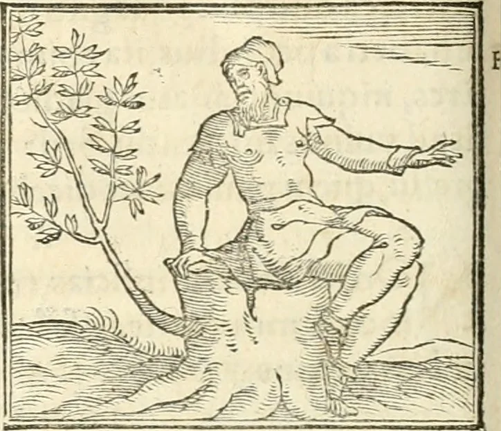 An illustration from Hieroglyphica, sive, De sacris Aegyptiorvm aliarvmqve gentivm literis commentarij, 1567, leaf 527