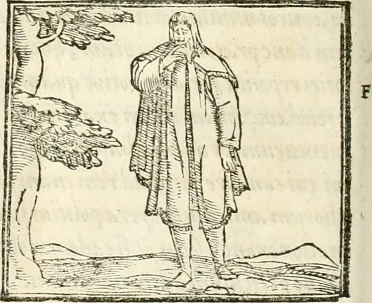 An illustration from Hieroglyphica, sive, De sacris Aegyptiorvm aliarvmqve gentivm literis commentarij, 1567, leaf 529