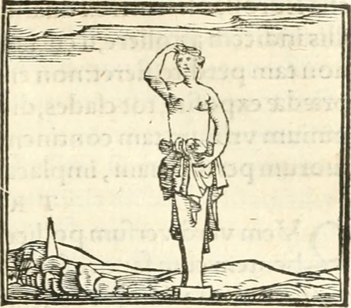 An illustration from Hieroglyphica, sive, De sacris Aegyptiorvm aliarvmqve gentivm literis commentarij, 1567, leaf 530