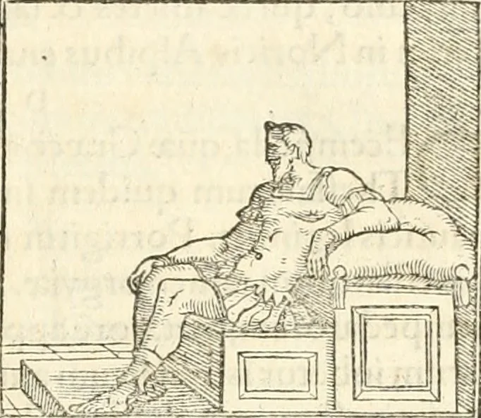 An illustration from Hieroglyphica, sive, De sacris Aegyptiorvm aliarvmqve gentivm literis commentarij, 1567, leaf 540