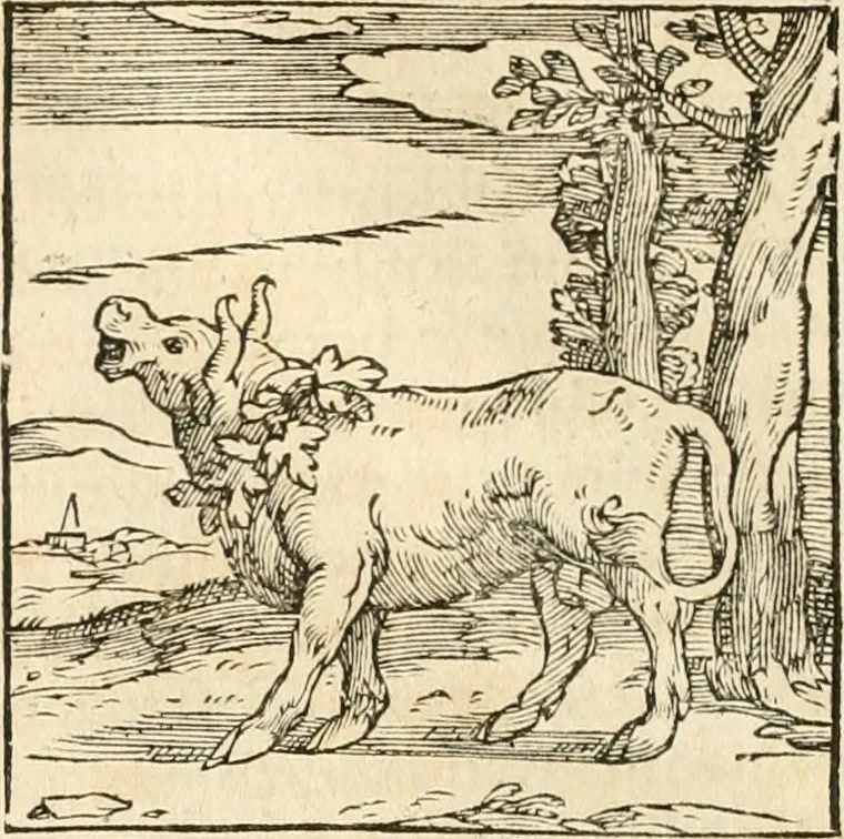 An illustration from Hieroglyphica, sive, De sacris Aegyptiorvm aliarvmqve gentivm literis commentarij, 1567, leaf 57