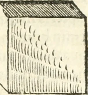 An illustration from Hieroglyphica, sive, De sacris Aegyptiorvm aliarvmqve gentivm literis commentarij, 1567, leaf 594