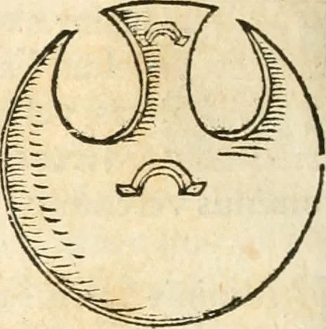 An illustration from Hieroglyphica, sive, De sacris Aegyptiorvm aliarvmqve gentivm literis commentarij, 1567, leaf 635