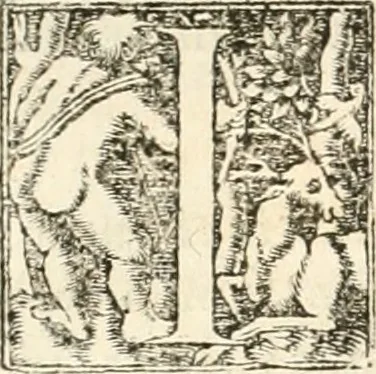 An illustration from Hieroglyphica, sive, De sacris Aegyptiorvm aliarvmqve gentivm literis commentarij, 1567, leaf 703