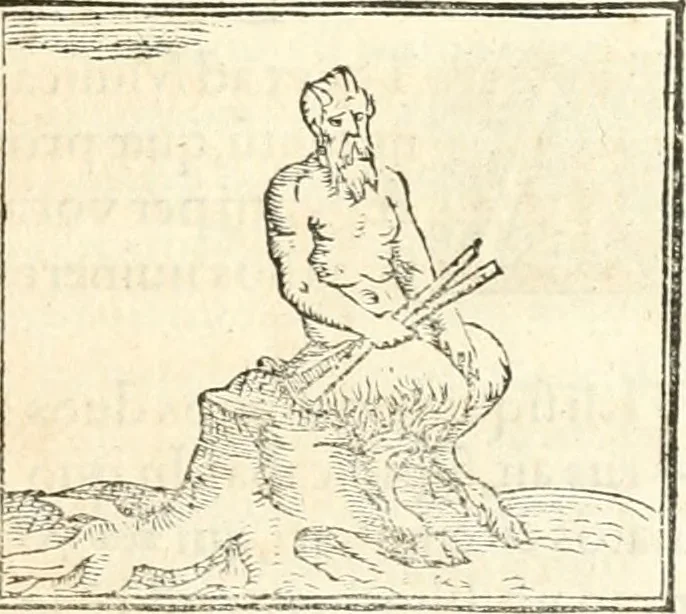 An illustration from Hieroglyphica, sive, De sacris Aegyptiorvm aliarvmqve gentivm literis commentarij, 1567, leaf 708