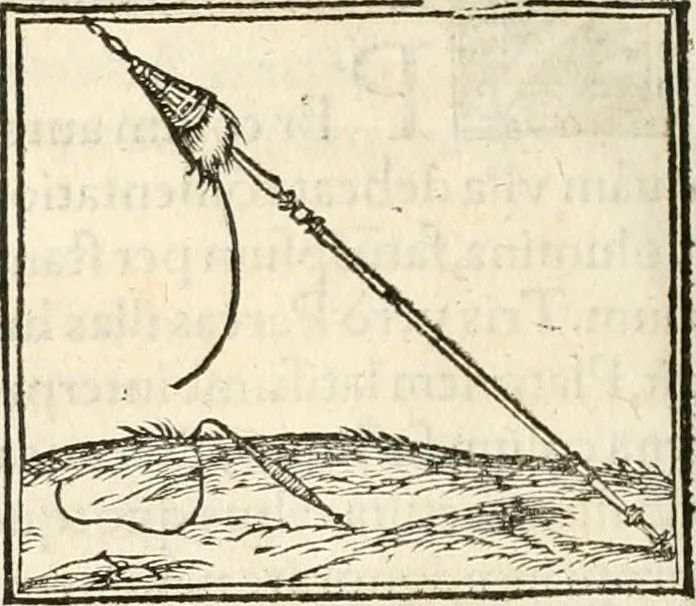 An illustration from Hieroglyphica, sive, De sacris Aegyptiorvm aliarvmqve gentivm literis commentarij, 1567, leaf 723