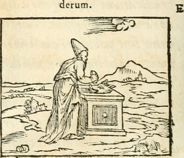 An illustration from Hieroglyphica, sive, De sacris Aegyptiorvm aliarvmqve gentivm literis commentarij, 1567, leaf 733