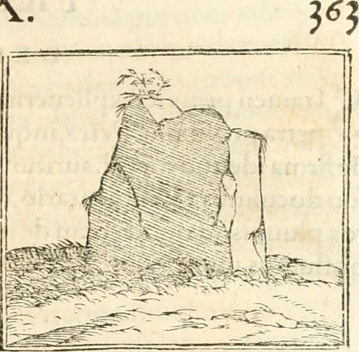 An illustration from Hieroglyphica, sive, De sacris Aegyptiorvm aliarvmqve gentivm literis commentarij, 1567, leaf 736