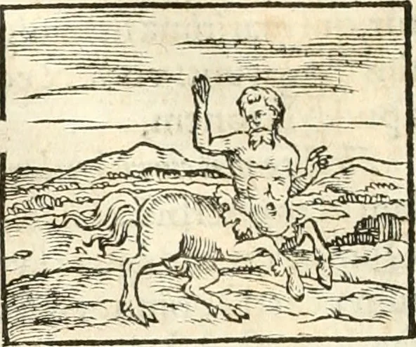 An illustration from Hieroglyphica, sive, De sacris Aegyptiorvm aliarvmqve gentivm literis commentarij, 1567, leaf 75