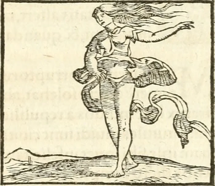 An illustration from Hieroglyphica, sive, De sacris Aegyptiorvm aliarvmqve gentivm literis commentarij, 1567, leaf 820