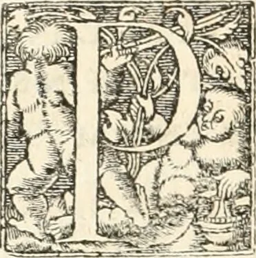 An illustration from Hieroglyphica, sive, De sacris Aegyptiorvm aliarvmqve gentivm literis commentarij, 1567, leaf 861