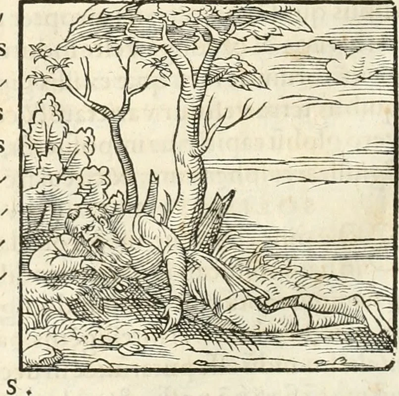 An illustration from Hieroglyphica, sive, De sacris Aegyptiorvm aliarvmqve gentivm literis commentarij, 1567, leaf 863