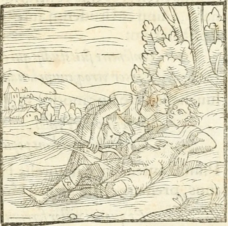 An illustration from Hieroglyphica, sive, De sacris Aegyptiorvm aliarvmqve gentivm literis commentarij, 1567, leaf 870