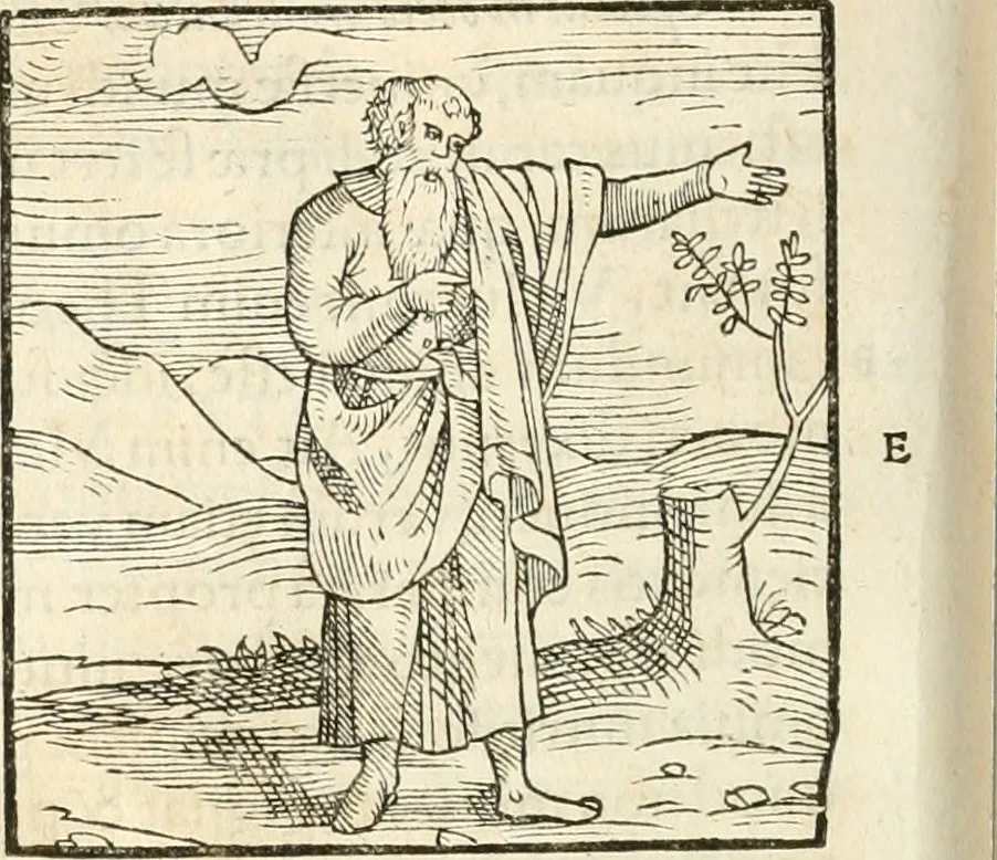 An illustration from Hieroglyphica, sive, De sacris Aegyptiorvm aliarvmqve gentivm literis commentarij, 1567, leaf 871