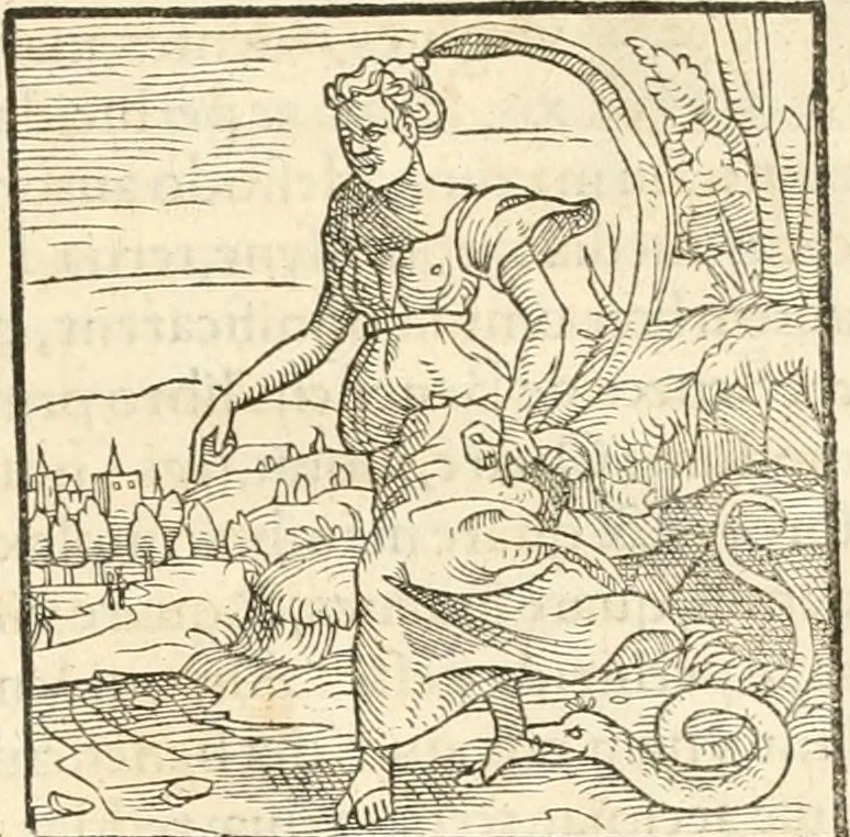An illustration from Hieroglyphica, sive, De sacris Aegyptiorvm aliarvmqve gentivm literis commentarij, 1567, leaf 878