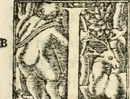 An illustration from Hieroglyphica, sive, De sacris Aegyptiorvm aliarvmqve gentivm literis commentarij, 1567, leaf 88