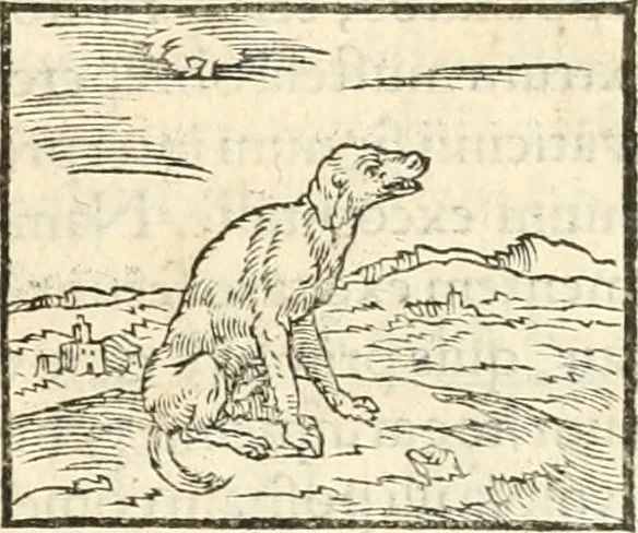 An illustration from Hieroglyphica, sive, De sacris Aegyptiorvm aliarvmqve gentivm literis commentarij, 1567, leaf 88