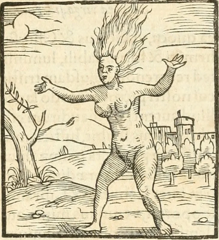 An illustration from Hieroglyphica, sive, De sacris Aegyptiorvm aliarvmqve gentivm literis commentarij, 1567, leaf 880