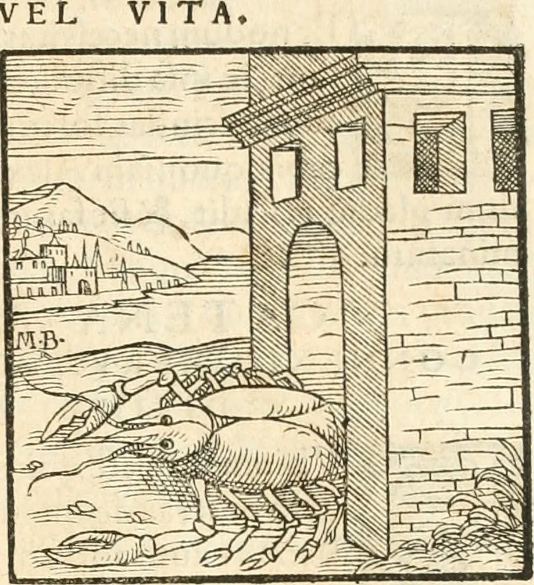 An illustration from Hieroglyphica, sive, De sacris Aegyptiorvm aliarvmqve gentivm literis commentarij, 1567, leaf 884