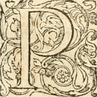 An illustration from Hieroglyphica, sive, De sacris Aegyptiorvm aliarvmqve gentivm literis commentarij, 1567, leaf 886