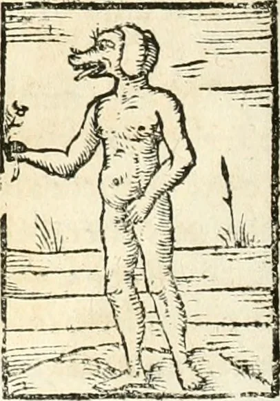 An illustration from Hieroglyphica, sive, De sacris Aegyptiorvm aliarvmqve gentivm literis commentarij, 1567, leaf 99