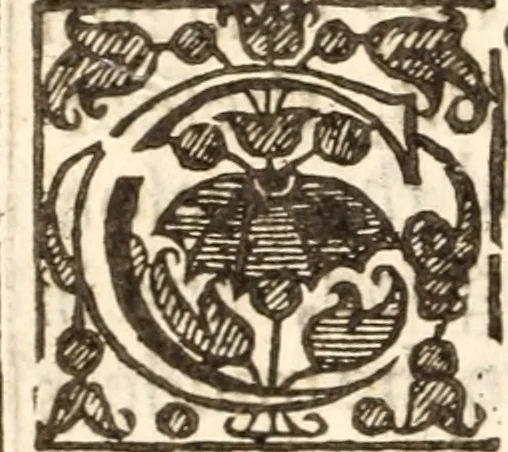 An illustration from Sinnes overthrow : or, A godly and learned treatise of mortification ... All being the substance of severall sermons upon Colos. 3. 5, 1641, leaf 241