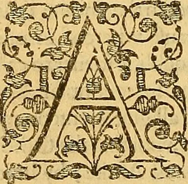 An illustration from The six bookes of a commonweale, 1606, leaf 217