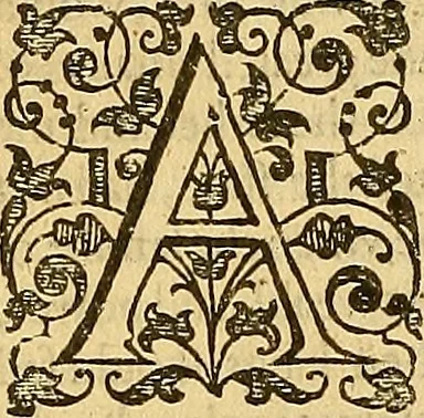 An illustration from The six bookes of a commonweale, 1606, leaf 223