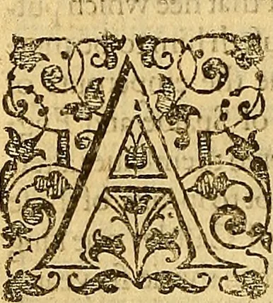 An illustration from The six bookes of a commonweale, 1606, leaf 243