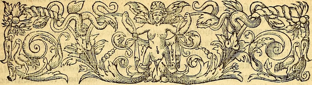 An illustration from The six bookes of a commonweale, 1606, leaf 266