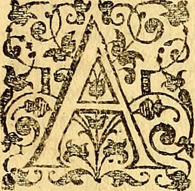 An illustration from The six bookes of a commonweale, 1606, leaf 306