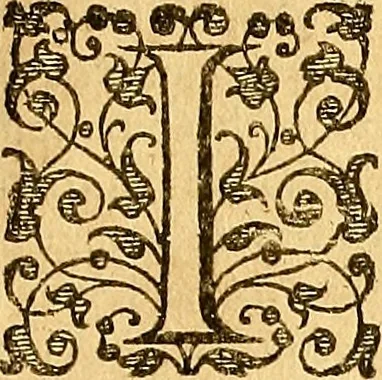 An illustration from The six bookes of a commonweale, 1606, leaf 356