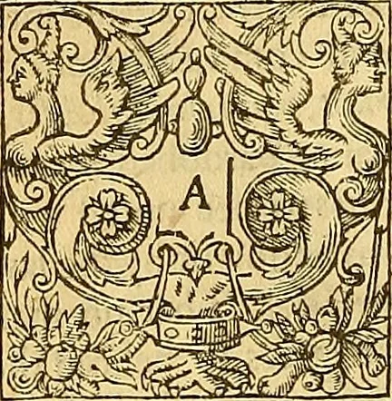 An illustration from The six bookes of a commonweale, 1606, leaf 419