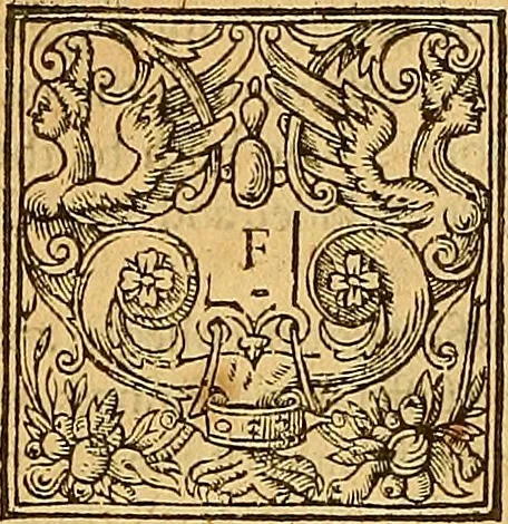 An illustration from The six bookes of a commonweale, 1606, leaf 489