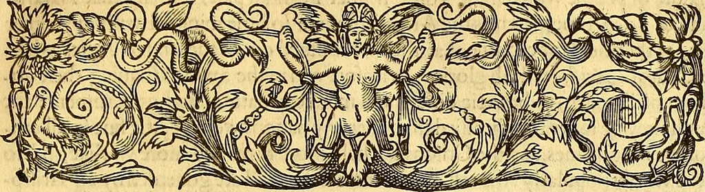 An illustration from The six bookes of a commonweale, 1606, leaf 558