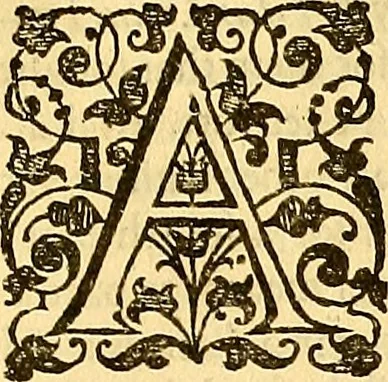An illustration from The six bookes of a commonweale, 1606, leaf 582