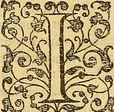 An illustration from The six bookes of a commonweale, 1606, leaf 609