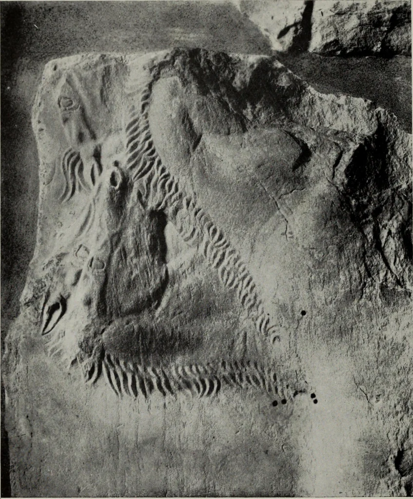 An illustration from Six Greek sculptors, 1915, leaf 167
