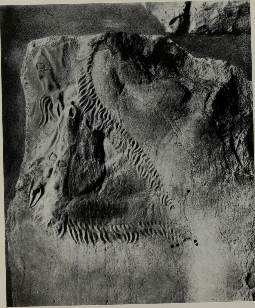 An illustration from Six Greek sculptors, 1915, leaf 169