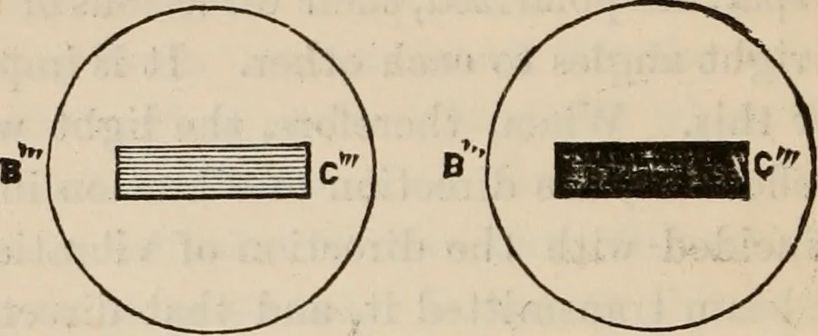An illustration from Six lectures on light : delivered in America in 1872-1878, 1886, leaf 151
